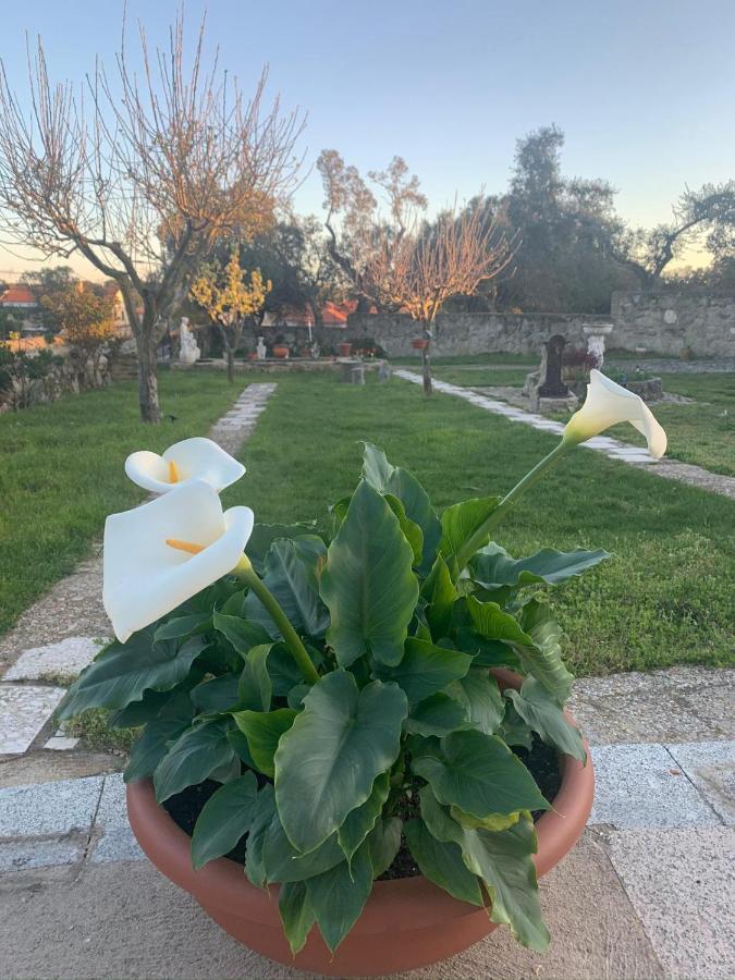 Villa Entre Encinas Moralina Εξωτερικό φωτογραφία